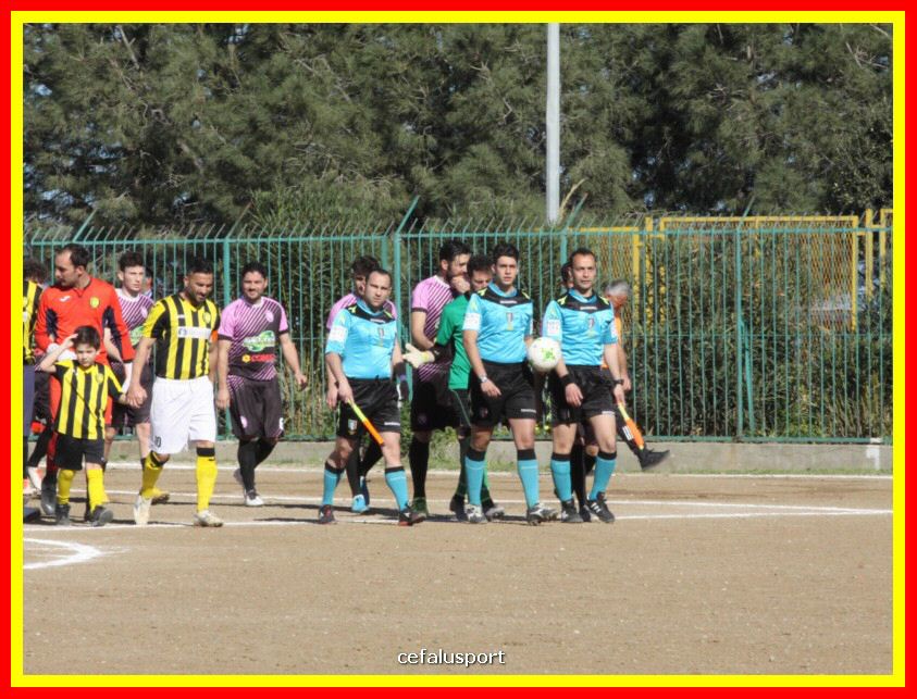 190310 Cephal_Torrenov 022_tn.jpg